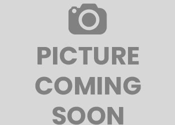 Featured Speaker Coming Soon!